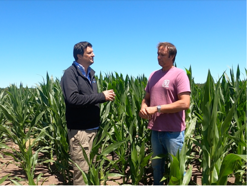 INTENT speaking with South American growers